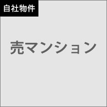 新潟市西区青山新町